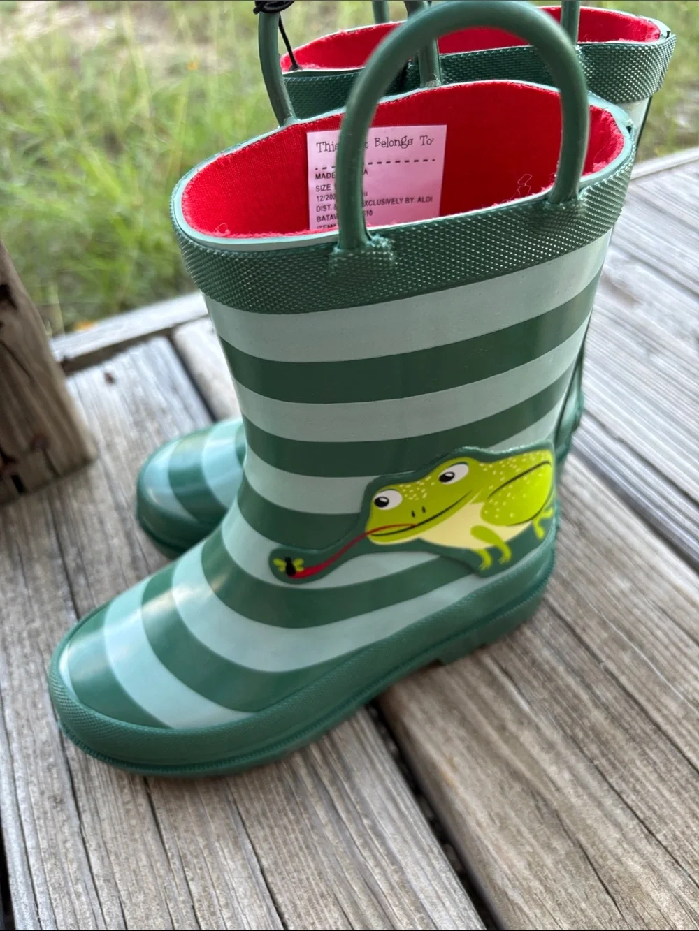 Lily & Dan Kids Rain Boots with Frog Accent